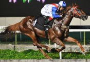 Emerald Hill<br>Photo by Singapore Turf Club